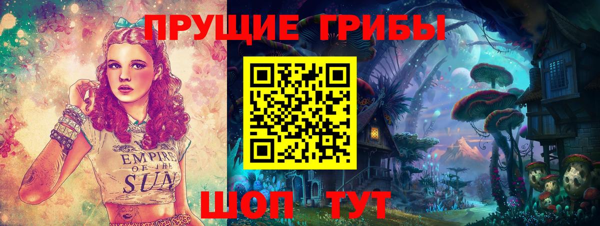 сколько стоит  Галлюциногенные грибы Psilocybe  Вход с VPN  Торжок 